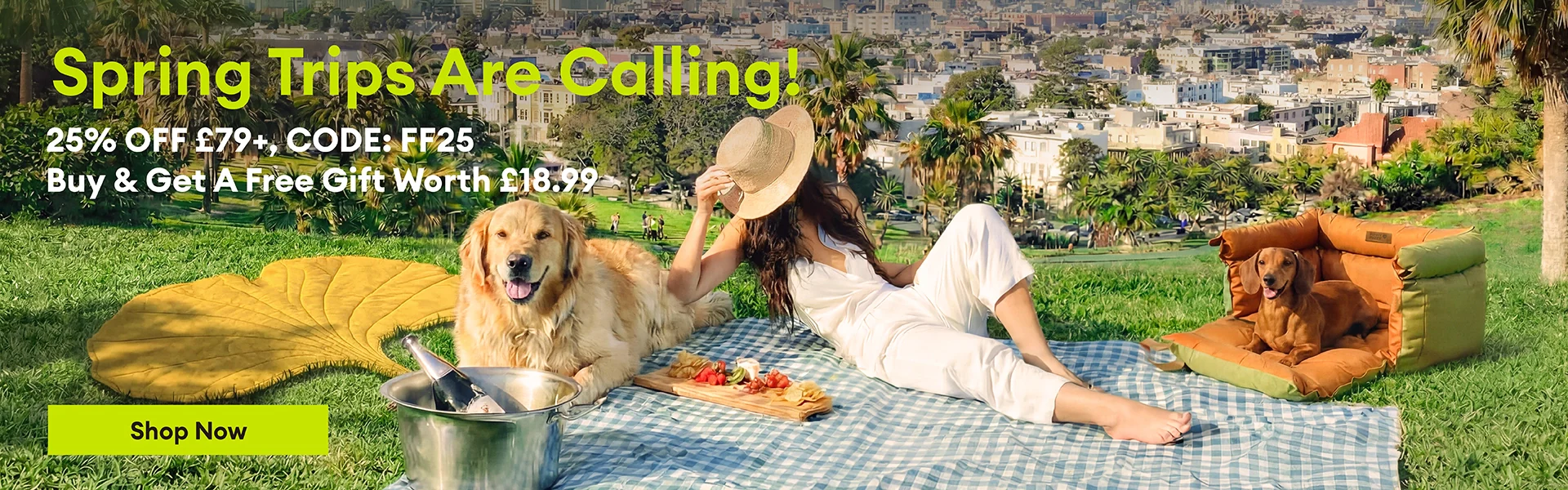 Delightful Living for Happy Pets