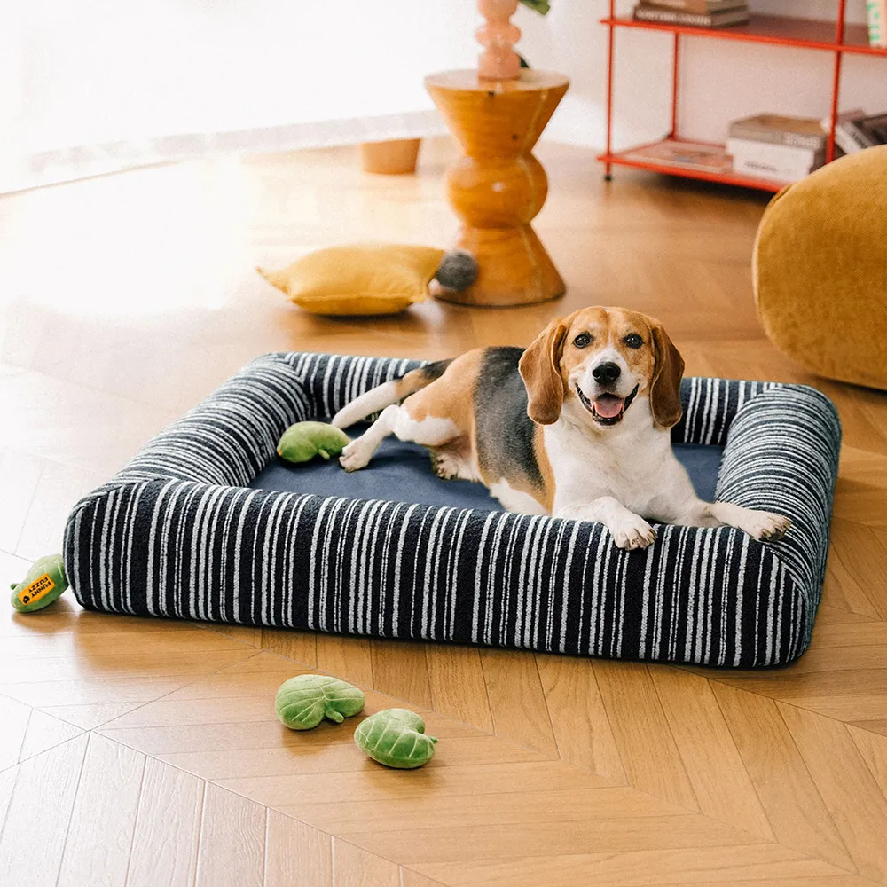 New Launch - Dog Beds